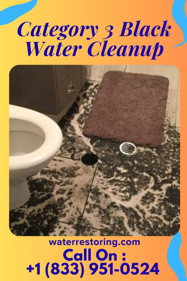 Category 3 Black Water Cleanup in Leighton, IA