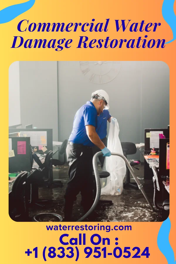 Commercial Water Damage Restoration in Leighton, IA
