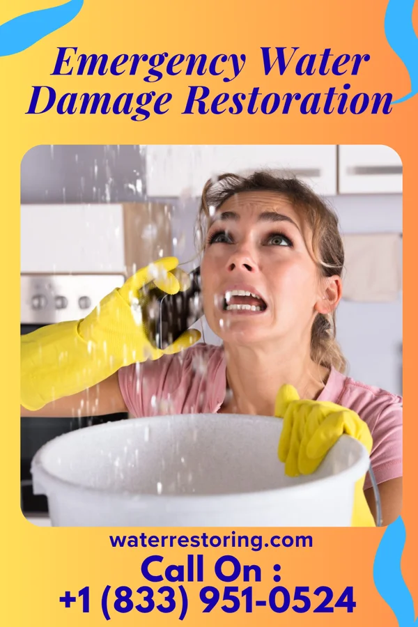 Emergency Water Damage Restoration in Leighton, IA