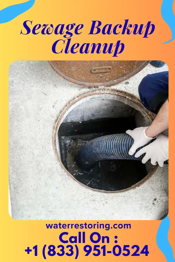 Sewage Backup Cleanup in Leighton, IA